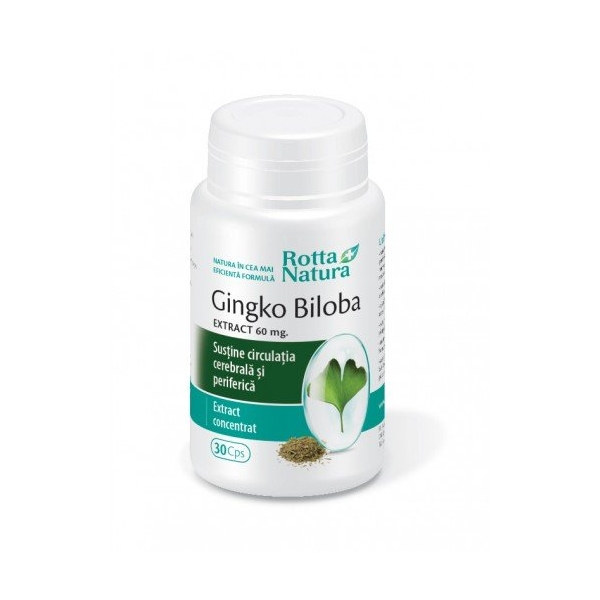 Ginkgo Biloba Extract 60mg 30cps