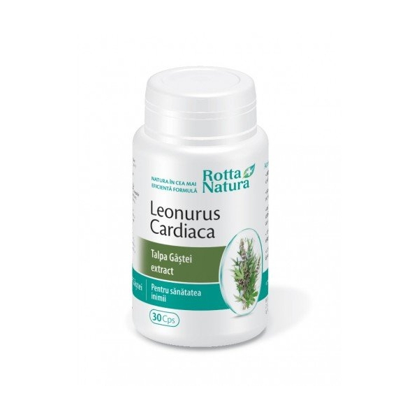 Leonurus Extract (talpa gastii) 30cps