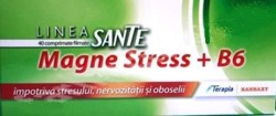 Magne Stress B6