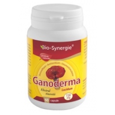 Ganoderma x 60 cps