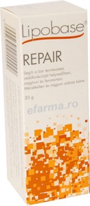 LipoBase Repair