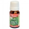 Ulei esential de menta 10ml