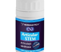 Articular stem 30cps