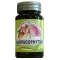 Artred (Harpagophytum) 30cpr
