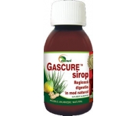 Gascure sirop 100ml