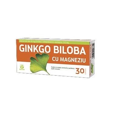 Ginkgo Biloba 40mg + Magneziu 150mg 30cpr