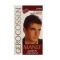Sampon colorant Men saten 25ml