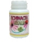 Echinaceea 50cps