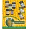 Miere tei borcan 400g