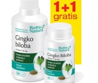 Ginkgo Biloba Extract 60mg 90cps + 30cps