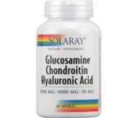 Glucosamine Chondroitin Hy x 60 cps