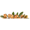 ULEI DE ARGAN 30ML, CETA