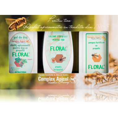 SET CADOU CASETA FLORAL