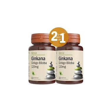 GINKANA GINKGO BILOBA 120MG 2*30CPR PCH
