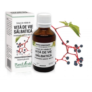 EXTRACT DIN MLADITE DE VITA DE VIE SALBATICA 50ML