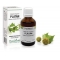 EXTRACT DIN MUGURI DE PLATAN 50ML