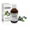 EXTRACT DIN MUGURI DE PORUMBAR 50ML