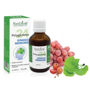 POLYGEMMA 24 GINKGO MEMORIE 50ML