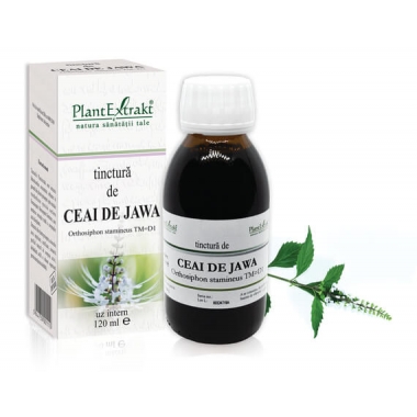 TINCTURA CEAI DE JAWA TM 120ML