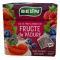 BELIN FRUCTE PADURE 2GR*20DZ PIRAMIDA