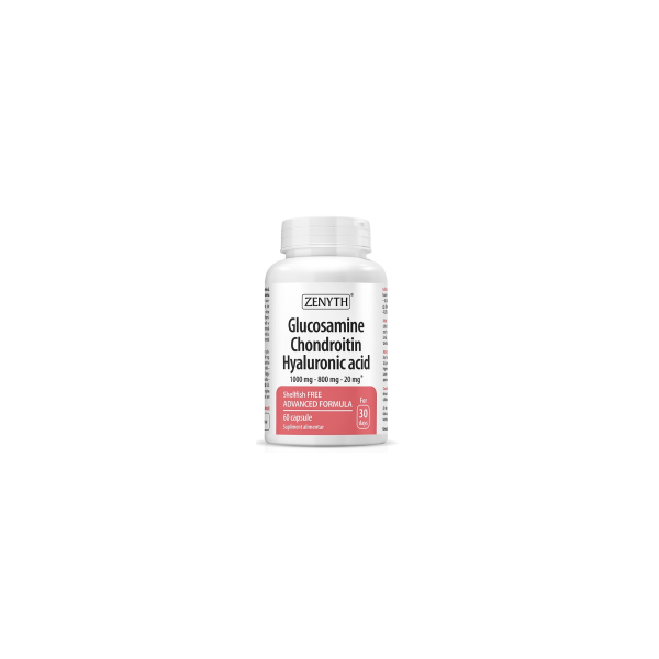 GLUCOSAMINE CHONDROITIN HYALURONIC ACID 60CPS eFarma