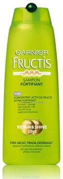 Garnier Fructis Repair&Shine 2 in 1