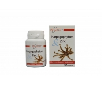 Harpagophytum & Zinc 40cps