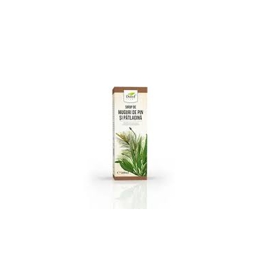 SIROP IEDERA CIMBRISOR MUG.PIN PATLAG. MIERE 200ML, DOREL PLANT