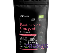 BUDINCA DE CAPSUNI FARA GLUTEN BIO 100GR