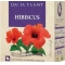 HIBISCUS 50GR