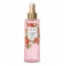 SPRAY CORP STRALUCIRE BLOSSOM ROSES200ML Bi-ES 200 ml