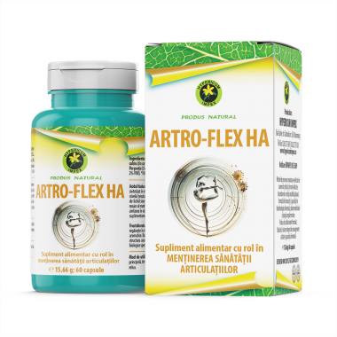 ARTRO FLEX HA,60cps