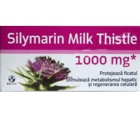 Silimarina Milk Thistle