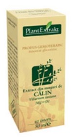 Extract din muguri de Calin