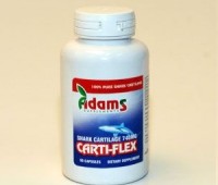 Carti-Flex Cartilaj de rechin 740mg x 90 capsule